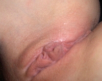 Feature Member