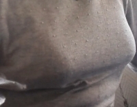 secretlifeofgilf