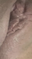 Feature Member